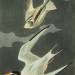 Lesser Tern (Sterna Albifrons)